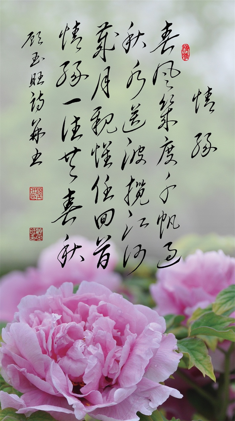 微信图片_20260519155614_268_46.jpg