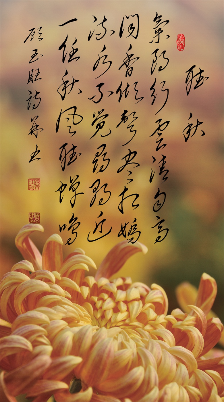 微信图片_20260519155618_269_46.jpg