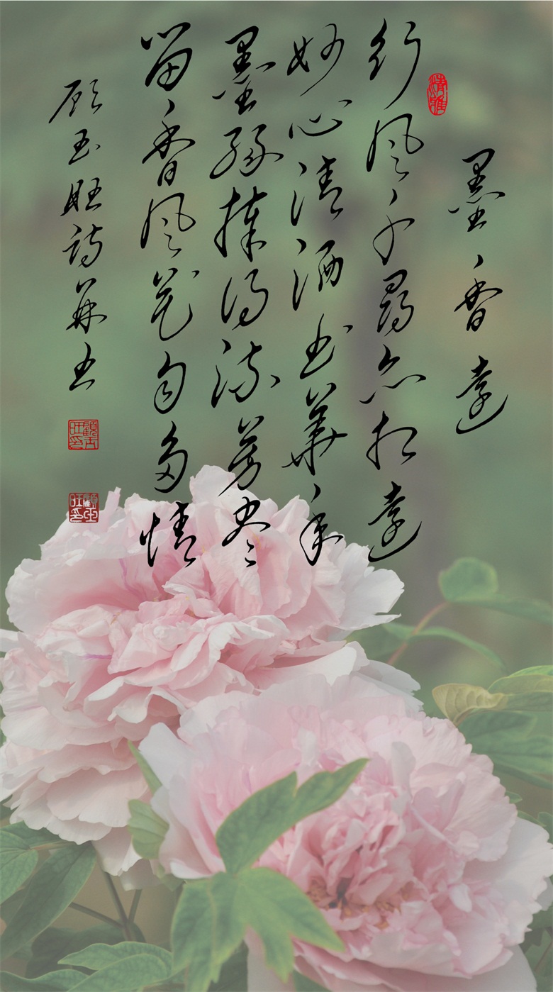 微信图片_20260519155648_273_46.jpg
