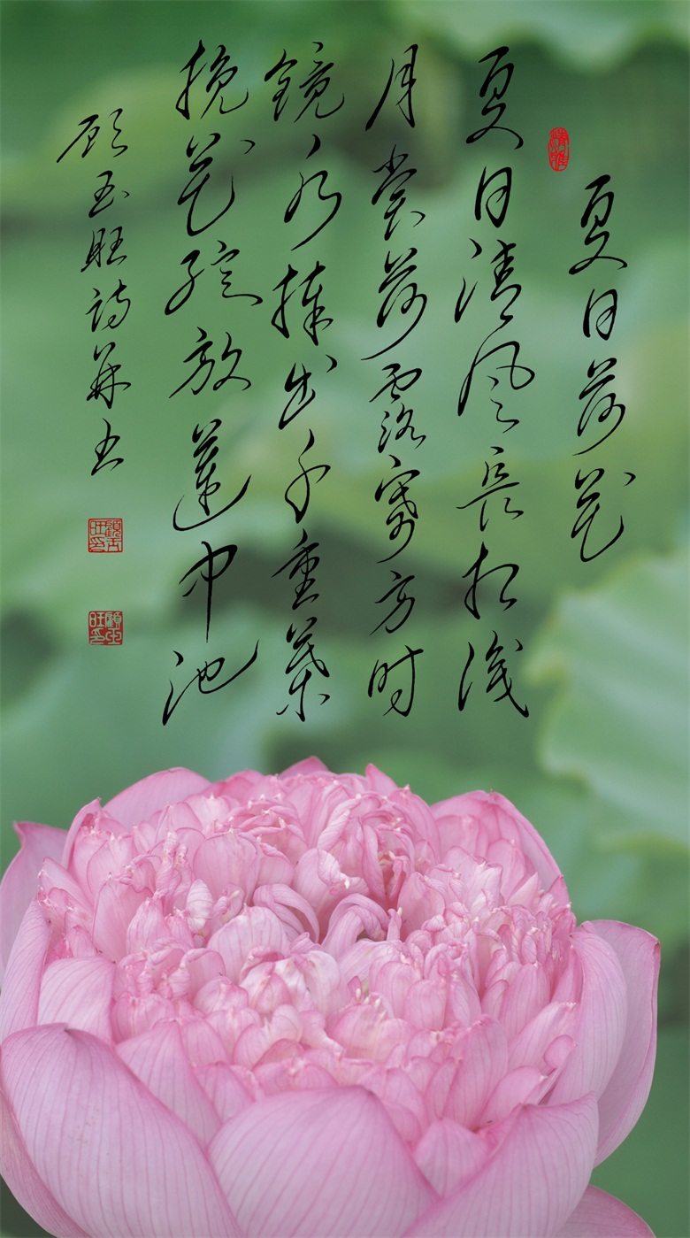 微信图片_20260519155656_275_46.jpg