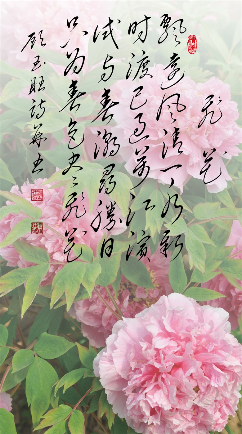 微信图片_20260519155943_279_46.jpg
