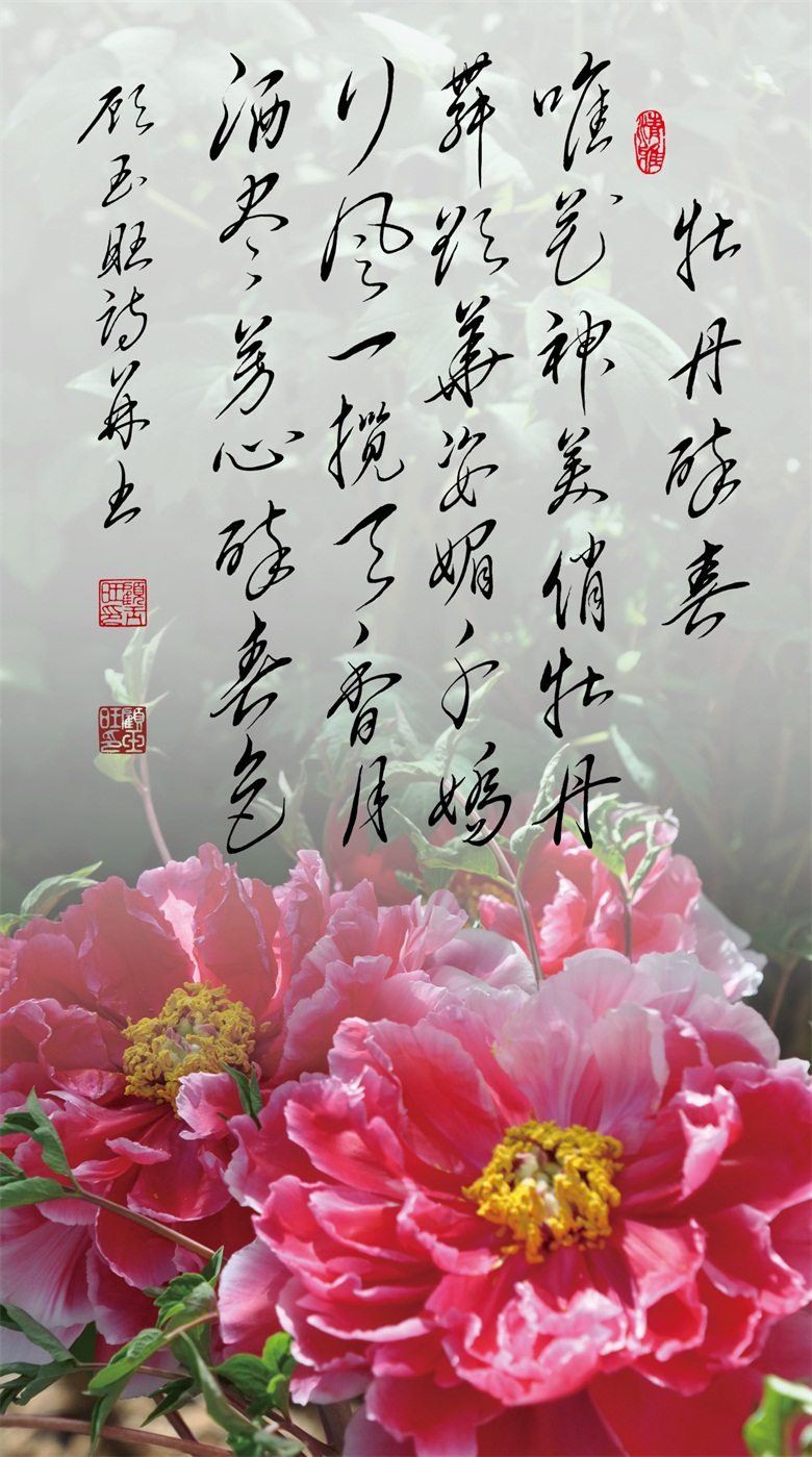 微信图片_20260519160030_281_46.jpg