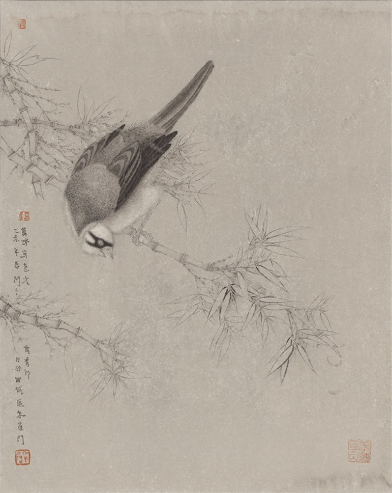 《花鸟写生1》49.5x39.5cm 2015年  -纸本设色  -刘万鸣.jpg